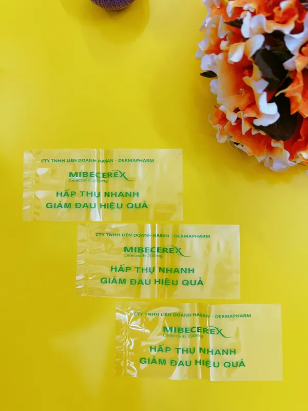 Sản phẩm pp (2) — Bao Bì Liên Thành - Công Ty TNHH Bao Bì Nhựa Liên Thành — MST 0306933003