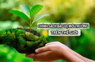 Sản phẩm chinh sach bao ve moi truong tren the gioi 1763619916.png — Môi Trường Lâm Phát - Công Ty TNHH Thương Mại Dịch Vụ Môi Trường Lâm Phát — MST 0307292088