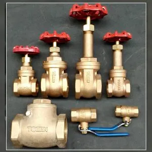 Sản phẩm Van dong tozen 300x300 — Công Ty TNHH Thương Mại Và Dịch Vụ Tương Lai Việt — MST 0307332333