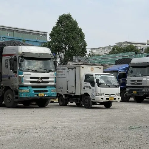 Sản phẩm 1680233582254 q4uo5r5g969r181fam4608vmvl2p7kydvvqth7qhzc — Công Ty TNHH Thương Mại - Dịch Vụ - Vận Tải Quốc Tế Việt Đức — MST 0307479488