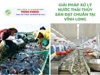 Sản phẩm thinh phong tin tuc_1775814287_200x150 — Công Ty TNHH Sản Xuất Thương Mại Dịch Vụ Cơ Khí Môi Trường Thịnh Phong — MST 0307542796