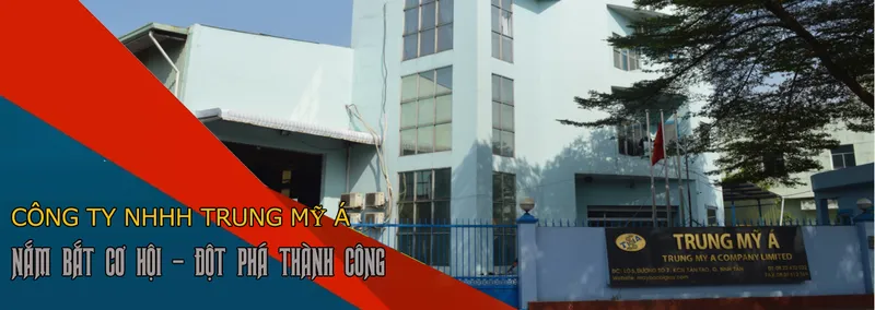 Sản phẩm 480043845005945 — Máy Bao Bì Trung Mỹ á - Công Ty TNHH Trung Mỹ á — MST 0307621215