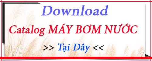Sản phẩm catalog.png — Công Ty TNHH Thuận Hiệp Thành — MST 0307737594