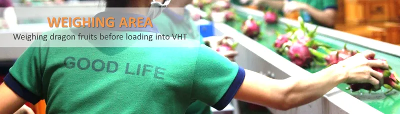 Sản phẩm testimonial_image_4_en96c496c4 — Công Ty Cổ Phần Cuộc Sống Tốt Lành — MST 0307754159