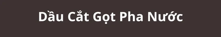 Sản phẩm Dau Cat Got Pha Nuoc 770 x 131 — Dầu Nhớt Nguyên Đan - Công Ty TNHH Thương Mại Dịch Vụ Nguyên Đan — MST 0307853946