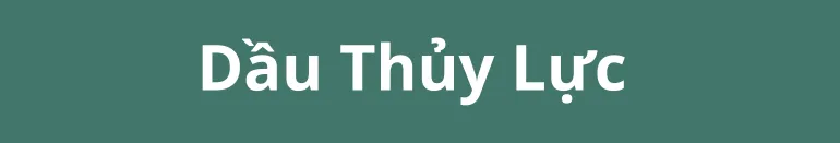 Sản phẩm Dau Thuy Luc 770 x 131 — Dầu Nhớt Nguyên Đan - Công Ty TNHH Thương Mại Dịch Vụ Nguyên Đan — MST 0307853946