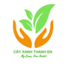 Logo Cây Xanh Thanh Đa - Công Ty TNHH Cây Xanh Thanh Đa