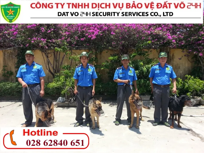 Văn phòng Bảo Vệ Đất Võ Hai Mươi Bốn Giờ - Công Ty TNHH Dịch Vụ Bảo Vệ Đất Võ Hai Mươi Bốn
Giờ #1744272813 — MST 0308054512