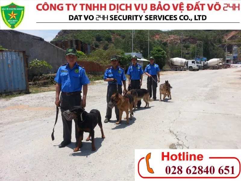Văn phòng Bảo Vệ Đất Võ Hai Mươi Bốn Giờ - Công Ty TNHH Dịch Vụ Bảo Vệ Đất Võ Hai Mươi Bốn
Giờ #1744272202 — MST 0308054512
