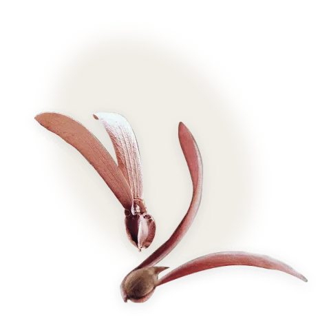 Sản phẩm shape left — Vận Tải á Đông ADG - Công Ty Cổ Phần á Đông ADG — MST 0308113486