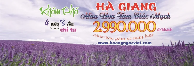 Sản phẩm ha giang copy (1366 x 500) 4473 — Công Ty TNHH Hoàng Ngọc Việt — MST 0308145431