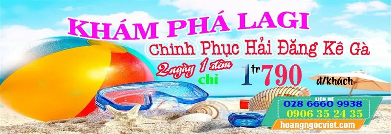 Sản phẩm lagi ke ga (1366 x 470) 4824 — Công Ty TNHH Hoàng Ngọc Việt — MST 0308145431