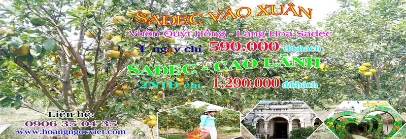 Sản phẩm sadec copy (1366 x 500) 4287 — Công Ty TNHH Hoàng Ngọc Việt — MST 0308145431