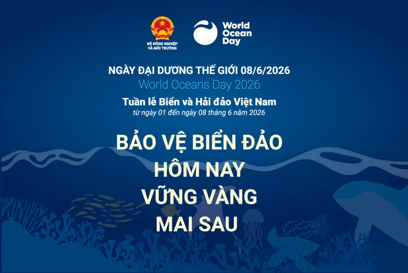 Sản phẩm anh dai dien_2 — Thu Mua Vải á Châu - Công Ty TNHH Một Thành Viên Sản Xuất Thương Mại Dịch Vụ Môi
Trường á Châu — MST 0308295564