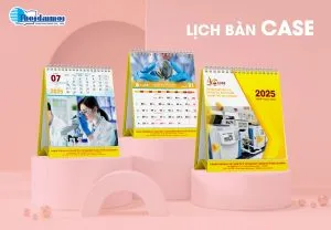 Sản phẩm LB CASE 04 300x208 — In Thời Đại Mới - Công Ty TNHH Văn Hóa - Truyền Thông Thời Đại Mới — MST 0308784188
