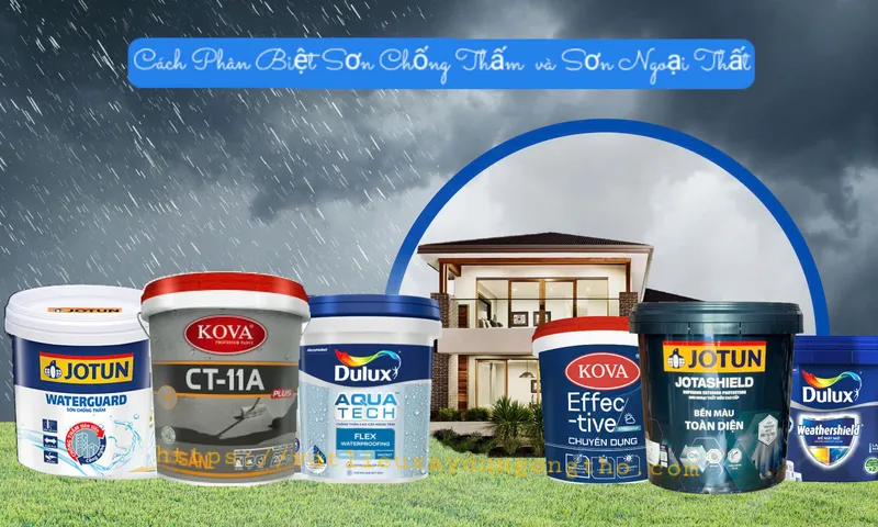 Sản phẩm phan biet son chong tham amp son ngoai that — Công Ty TNHH Ong Thợ — MST 0308877178