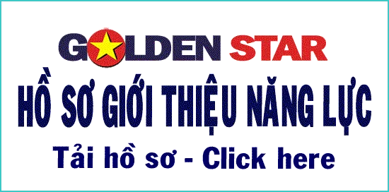 Sản phẩm HO_SO_GIO_THIEU_NANG_LUC_VN — Công Ty TNHH Kế Toán Và Tư Vấn Sao Vàng — MST 0308929524