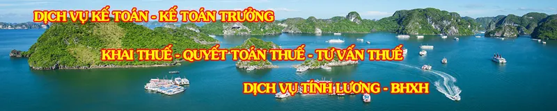 Sản phẩm KE_TOAN_SAO_VANG_1 — Công Ty TNHH Kế Toán Và Tư Vấn Sao Vàng — MST 0308929524