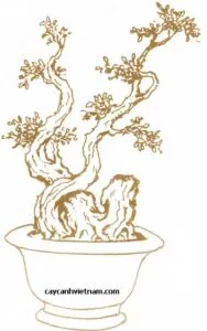 Sản phẩm the long dan phuong vu 188x300 — Công Ty Cổ Phần Thương Mại Dịch Vụ Tư Vấn Cây Cảnh Việt Nam — MST 0308945438