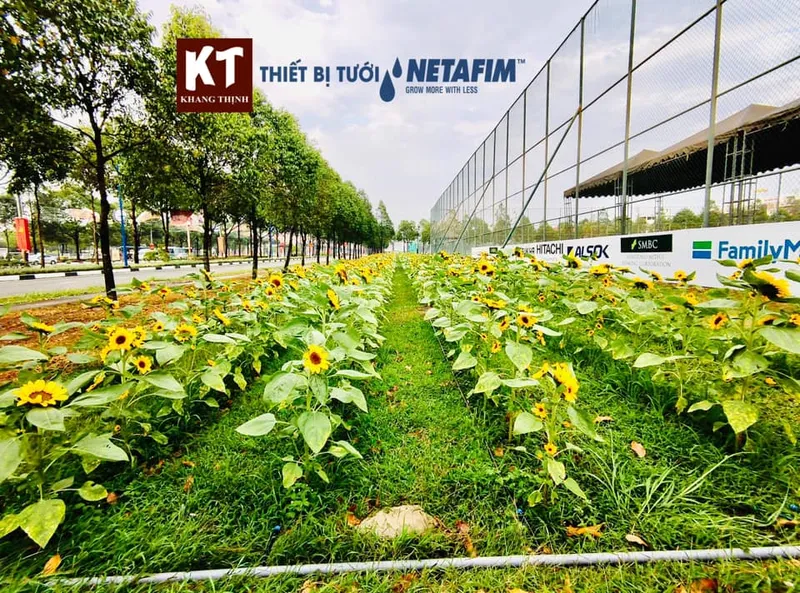 Sản phẩm 213245 — Phân Bón Khang Thịnh - Công Ty Cổ Phần Công Nghệ Tưới Khang Thịnh — MST 0309028709