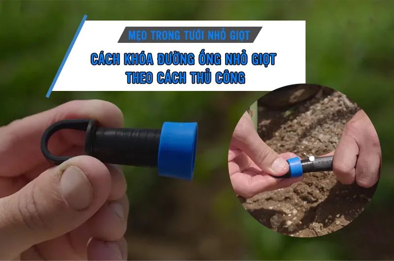 Sản phẩm cach khoa duong ong trong tuoi nho giot — Phân Bón Khang Thịnh - Công Ty Cổ Phần Công Nghệ Tưới Khang Thịnh — MST 0309028709