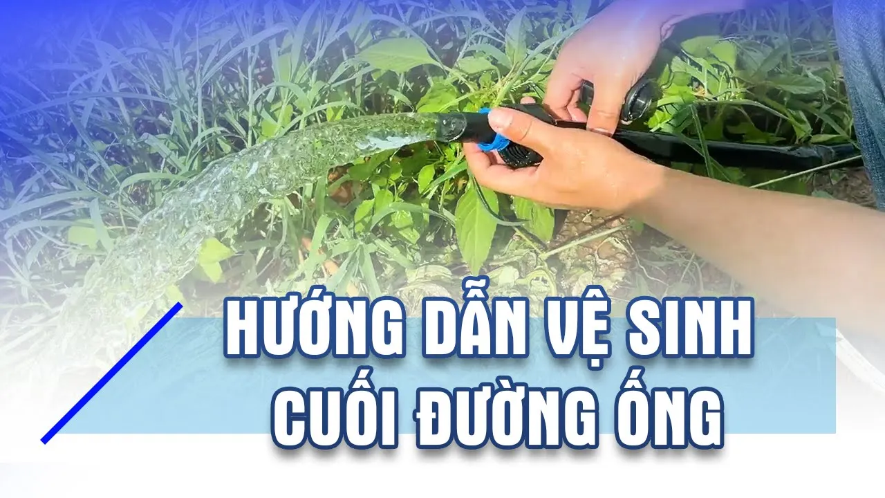 Sản phẩm huong dan ve sinh duong ong thu cong — Phân Bón Khang Thịnh - Công Ty Cổ Phần Công Nghệ Tưới Khang Thịnh — MST 0309028709