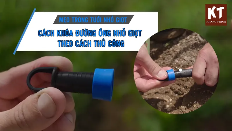 Sản phẩm Meo trong tuoi nho giot — Phân Bón Khang Thịnh - Công Ty Cổ Phần Công Nghệ Tưới Khang Thịnh — MST 0309028709