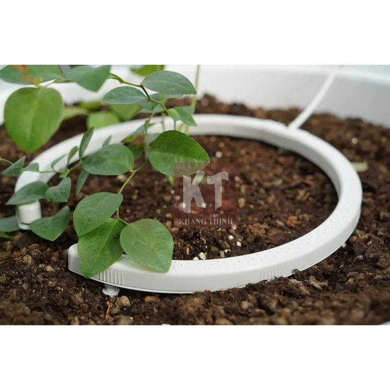 Sản phẩm Netbow Blueberry 1 1 scaled — Phân Bón Khang Thịnh - Công Ty Cổ Phần Công Nghệ Tưới Khang Thịnh — MST 0309028709