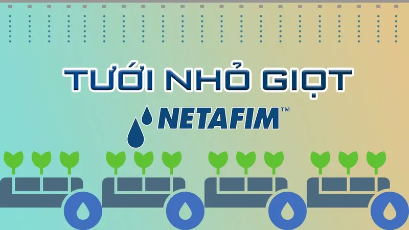 Sản phẩm Tuoi nho giot Netafim — Phân Bón Khang Thịnh - Công Ty Cổ Phần Công Nghệ Tưới Khang Thịnh — MST 0309028709