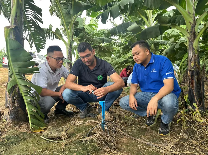 Sản phẩm z5667942973834_1a7d94aa909c933e23100f806ea69dbe — Phân Bón Khang Thịnh - Công Ty Cổ Phần Công Nghệ Tưới Khang Thịnh — MST 0309028709