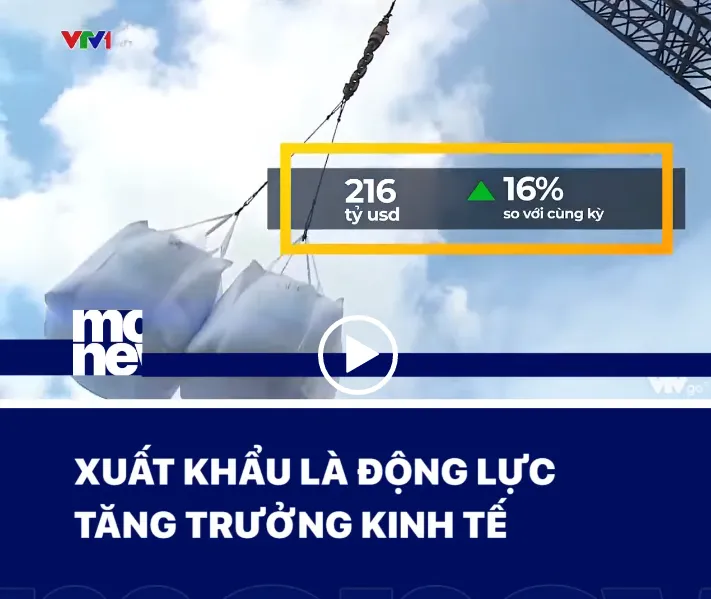 Sản phẩm Capture34 — Vận Chuyển Tam Sao Việt - Công Ty TNHH Tam Sao Việt — MST 0309038880