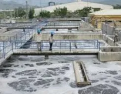 Sản phẩm 1 16650302269 — Công Ty TNHH Thiết Bị Xanh — MST 0309106876