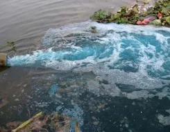 Sản phẩm 3 16650303262 — Công Ty TNHH Thiết Bị Xanh — MST 0309106876