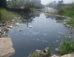 Sản phẩm 4 16650303943 — Công Ty TNHH Thiết Bị Xanh — MST 0309106876