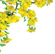 Sản phẩm top left — Máy Bơm SP - Công Ty TNHH Thương Mại Xuất Nhập Khẩu Siêu Phong — MST 0309116497
