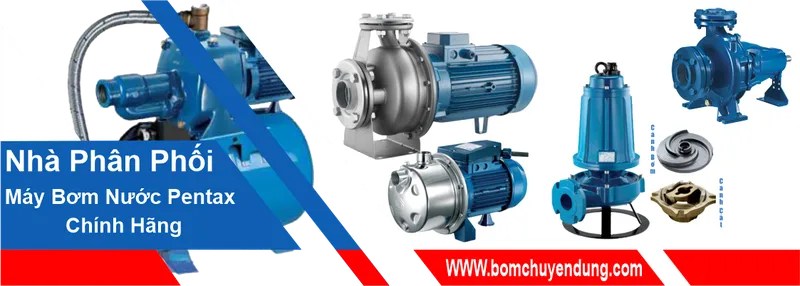 Sản phẩm 558416498421673 — Máy Bơm SP - Công Ty TNHH Thương Mại Xuất Nhập Khẩu Siêu Phong — MST 0309116497