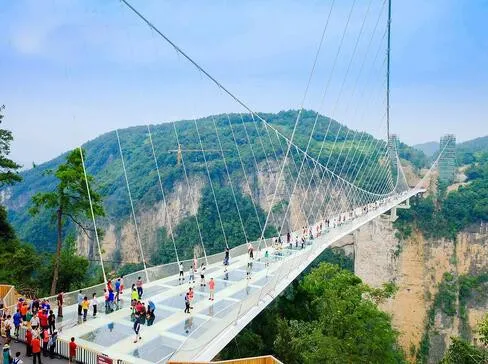 Sản phẩm cay cau kinh488 — Đất Việt Tour - Công Ty CP Đầu Tư TM DV Du Lịch Đất Việt — MST 0309139335