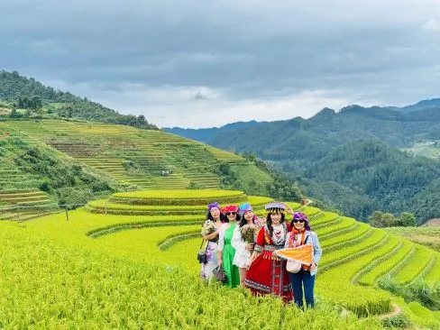 Sản phẩm mua lua chin tay bac 488px — Đất Việt Tour - Công Ty CP Đầu Tư TM DV Du Lịch Đất Việt — MST 0309139335