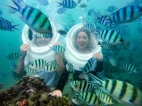 Sản phẩm lan ngam san ho phu quoc 488px — Đất Việt Tour - Công Ty CP Đầu Tư TM DV Du Lịch Đất Việt — MST 0309139335