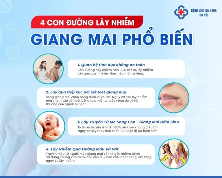Sản phẩm benh giang mai hinh anh 1 768x614 — Công Ty TNHH Halo Group — MST 0309188244