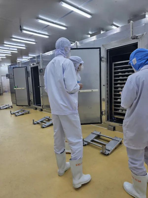 Sản phẩm z5843738109391 0d29454ea5f4a05f175bad63aafa6c2c — Điện Lạnh Công Nghiệp BA - Công Ty TNHH MTV Điện Lạnh Công Nghiệp BA — MST 0309201551