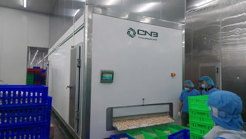 Sản phẩm z5843750513506 aa07564a96a9fa47f366593aac179966 — Điện Lạnh Công Nghiệp BA - Công Ty TNHH MTV Điện Lạnh Công Nghiệp BA — MST 0309201551