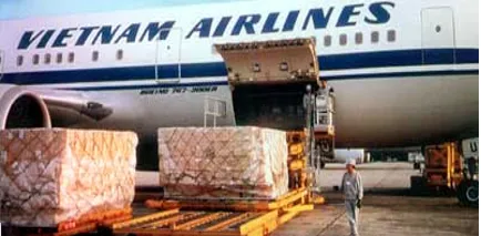 Sản phẩm air freight cargo 2310 — Công Ty TNHH Giao Nhận Vương Miện — MST 0309251418