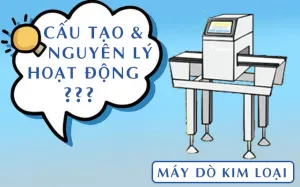 Sản phẩm may do kim loai trong thuc pham hoat dong nhu the nao 300x187 — Công Ty TNHH Công Nghệ Nhất Thiên — MST 0309259110