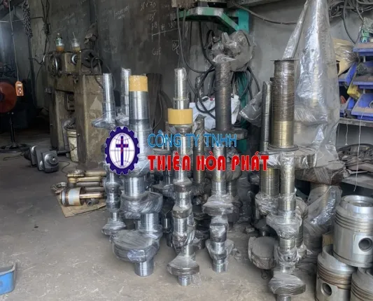 Sản phẩm 369239 — Công ty TNHH Thiên Hòa Phát — MST 0309260123