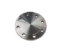 Sản phẩm jis 10k blind flange 2 — Công Ty TNHH MTV Cơ Khí Và Lắp Máy Thái Sơn — MST 0309279597