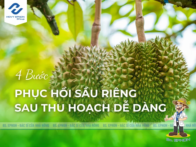 Sản phẩm phuc hoi sau rieng sau thu hoach hovyepnongroup — Công Ty Cổ Phần Nghiệp Nông — MST 0309350031