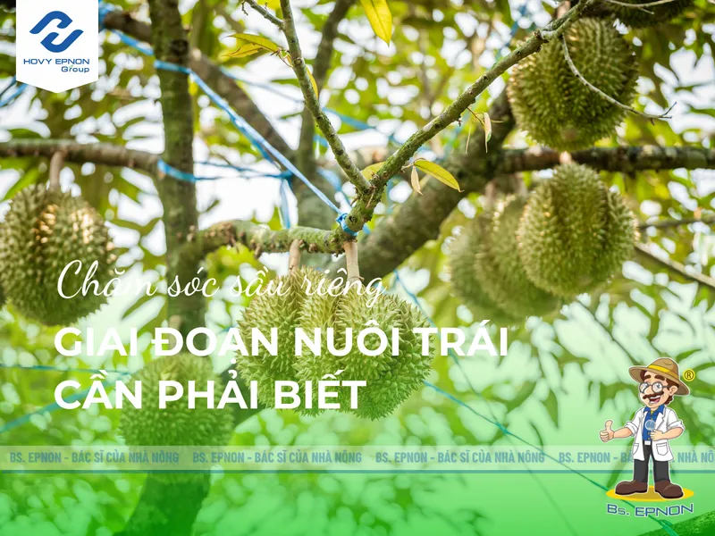 Sản phẩm cham soc sau rieng giai doan nuoi trai 1 — Công Ty Cổ Phần Nghiệp Nông — MST 0309350031