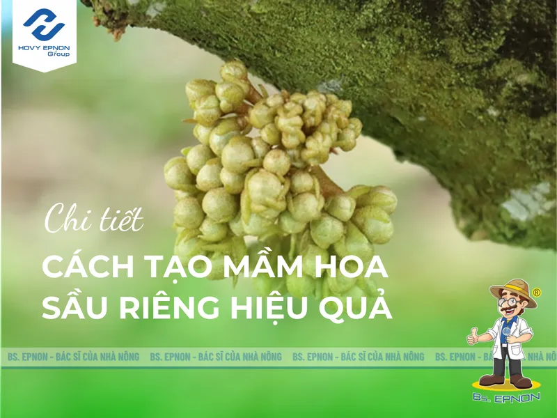 Sản phẩm chi tiet cach tao mam hoa sau rieng hieu qua 1 — Công Ty Cổ Phần Nghiệp Nông — MST 0309350031