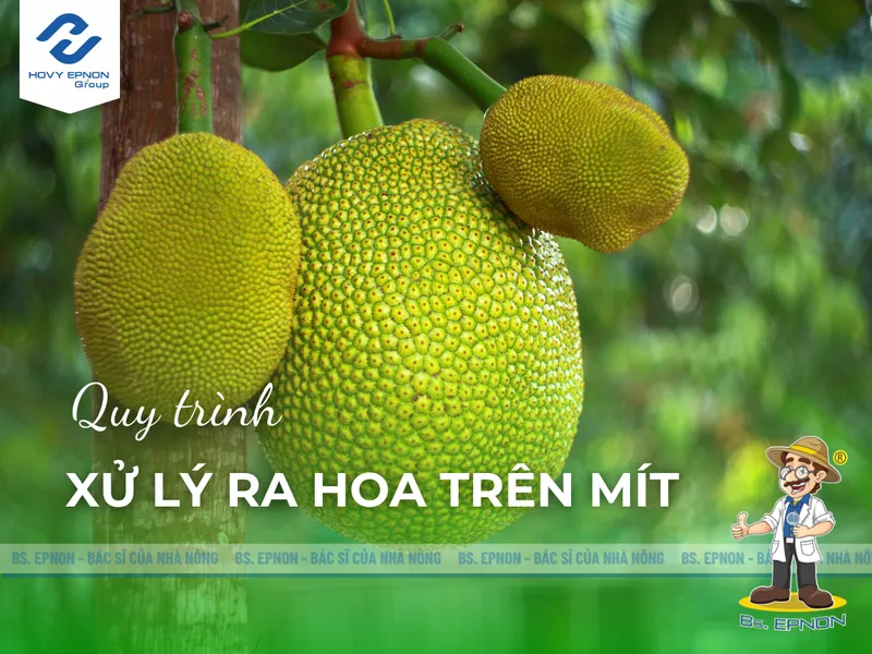 Sản phẩm xu ly ra hoa tren mit hovyepnongroup 2 — Công Ty Cổ Phần Nghiệp Nông — MST 0309350031